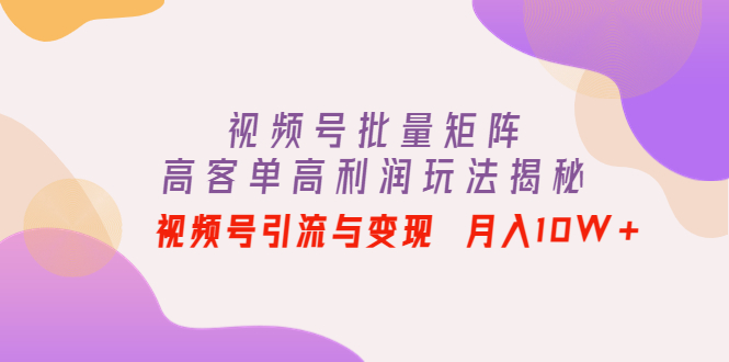 （4193期）视频号批量矩阵的高客单高利润玩法揭秘： 视频号引流与变现 月入10W+天亦网独家提供-天亦资源网