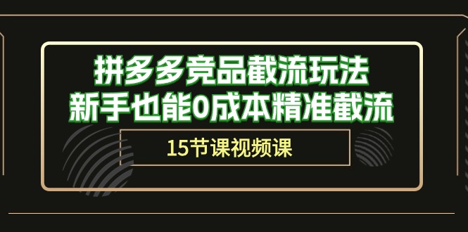 （10301期）拼多多竞品截流玩法，新手也能0成本精准截流（15节课）天亦网独家提供-天亦资源网