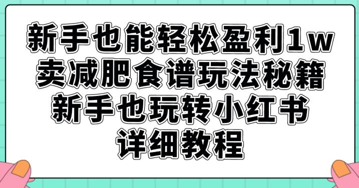 新手也能轻松盈利1w，卖减肥食谱玩法秘籍，新手也玩转小红书详细教程【揭秘】天亦网独家提供-天亦资源网