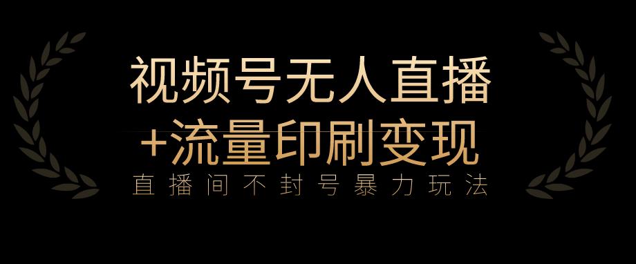 全网首发视频号不封号无人直播暴利玩法+流量印刷机变现，日入1000+【揭秘】天亦网独家提供-天亦资源网