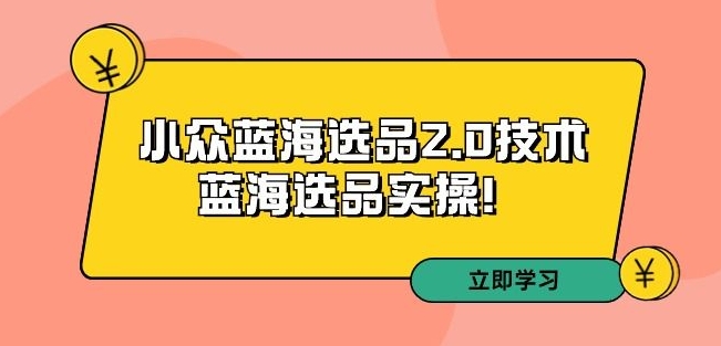 拼多多培训第33期：小众蓝海选品2.0技术-蓝海选品实操！天亦网独家提供-天亦资源网