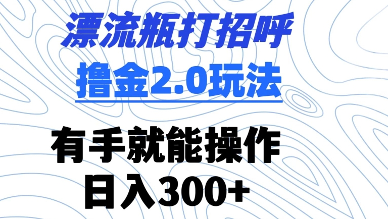 漂流瓶打招呼撸金2.0玩法，有手就能做，日入300+天亦网独家提供-天亦资源网