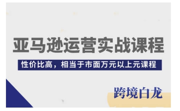 亚马逊运营实战课程，亚马逊从入门到精通，性价比高，相当于市面万元以上元课程天亦网独家提供-天亦资源网