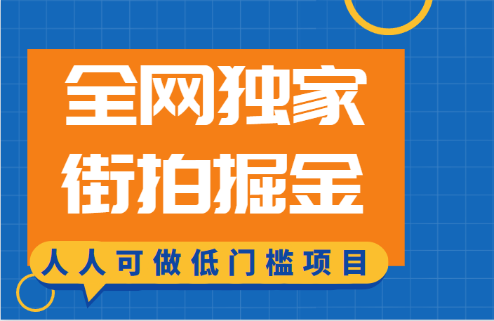 全网独家一街拍掘金，低门槛人人可做的赚钱项目天亦网独家提供-天亦资源网