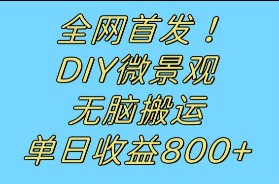 全网首发冷门赛道！DIY微景观，无脑搬运视频，日收益800+天亦网独家提供-天亦资源网