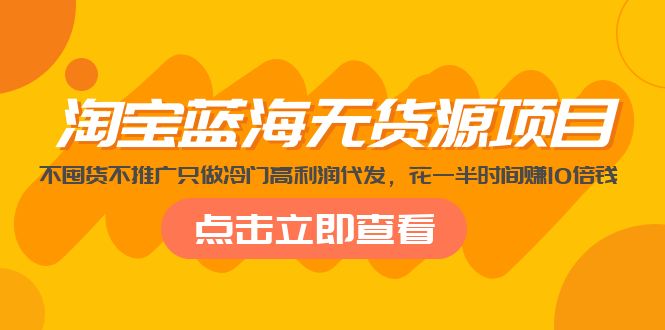 （5062期）淘宝蓝海无货源项目，不囤货不推广只做冷门高利润代发，花一半时间赚10倍钱天亦网独家提供-天亦资源网