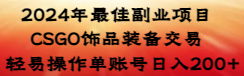 （8941期）2024年最佳副业项目 CSGO饰品装备交易 轻易操作单账号日入200+天亦网独家提供-天亦资源网