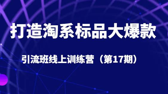 打造淘系标品大爆款引流班线上训练营（第17期）5天直播授课天亦网独家提供-天亦资源网