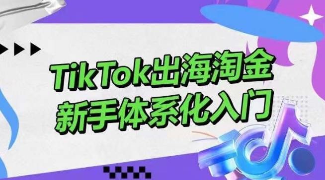 TikTok出海淘金，新手体系化入门，零基础快速入门，掌握短视频、直播带货等引流到变现的知识天亦网独家提供-天亦资源网