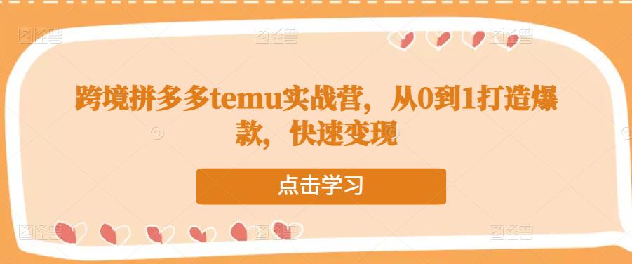 跨境拼多多temu实战营，从0到1打造爆款，快速变现天亦网独家提供-天亦资源网