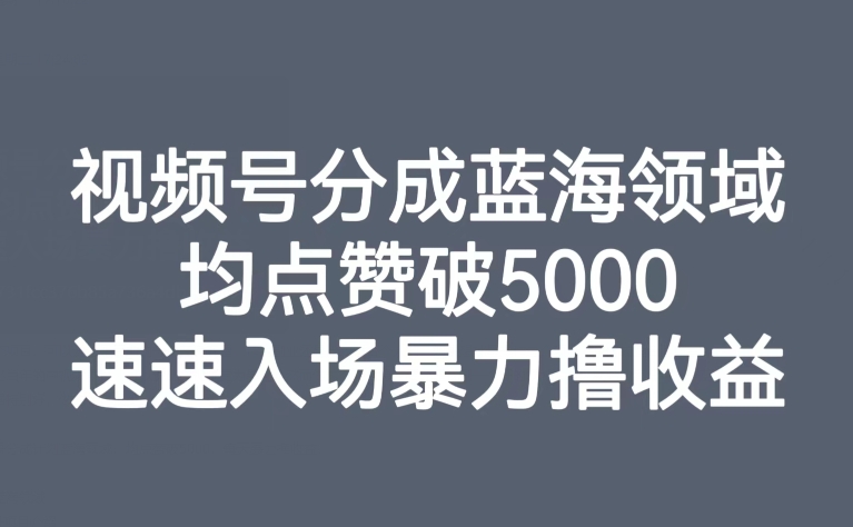 视频号分成蓝海领域，均点赞破5000，速速入场暴力撸收益天亦网独家提供-天亦资源网