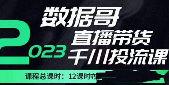 数据哥2023直播电商巨量千川付费投流实操课，快速掌握直播带货运营投放策略天亦网独家提供-天亦资源网