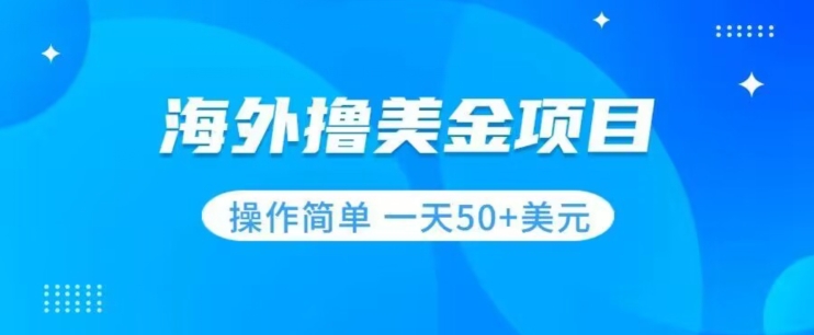 撸美金项目无门槛操作简单小白一天50+美刀天亦网独家提供-天亦资源网