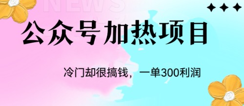 （6916期）冷门公众号加热项目，一单利润300+天亦网独家提供-天亦资源网