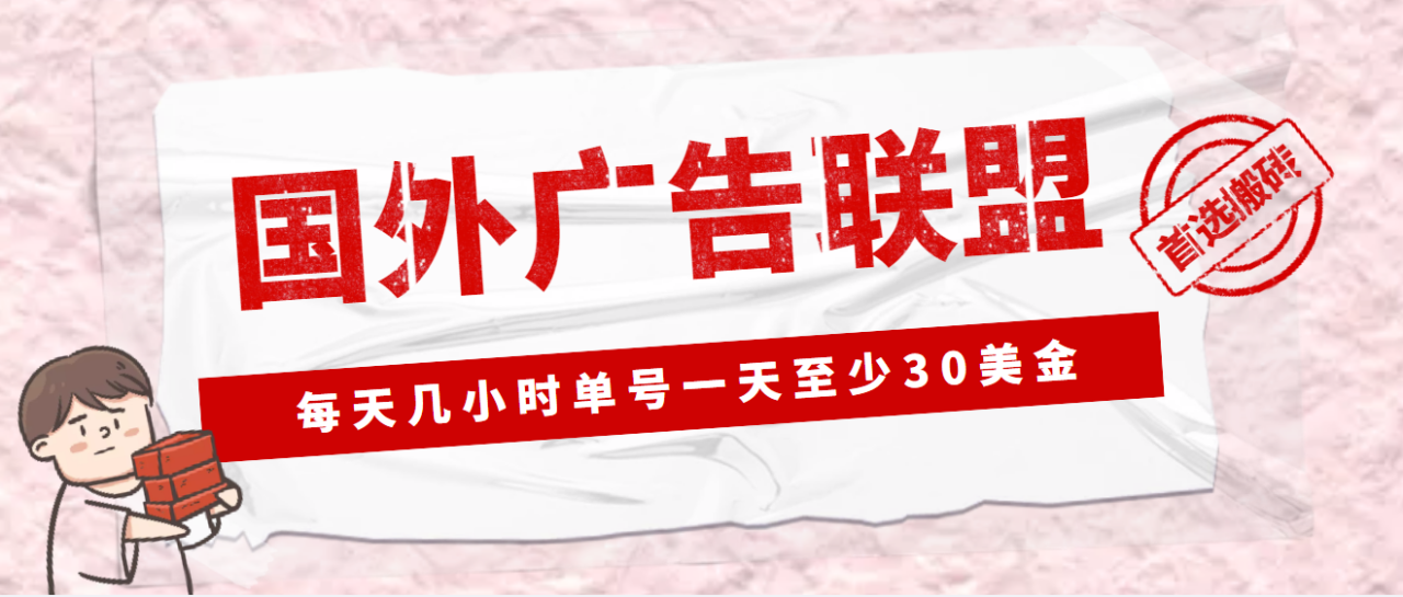 （4662期）外面收费1980最新国外LEAD广告联盟搬砖项目，单号一天至少30美金(详细教程)天亦网独家提供-天亦资源网