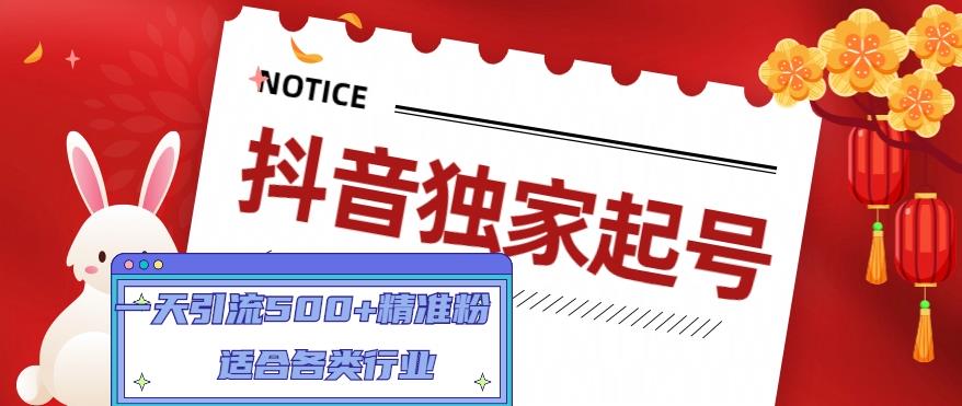 抖音独家起号，一天引流500+精准粉，适合各类行业（9节视频课）天亦网独家提供-天亦资源网