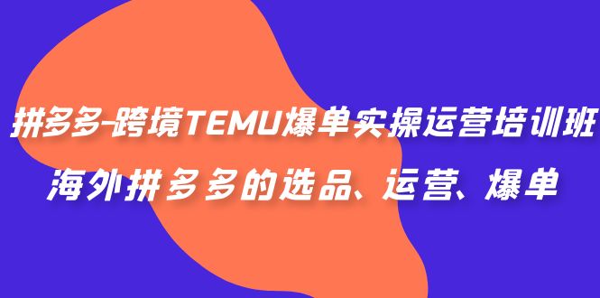 （6934期）拼多多-跨境TEMU爆单实操运营培训班，海外拼多多的选品、运营、爆单天亦网独家提供-天亦资源网