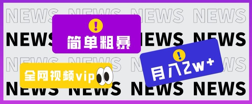 简单粗暴零成本，高回报，全网视频VIP掘金项目，月入2万＋【揭秘】天亦网独家提供-天亦资源网