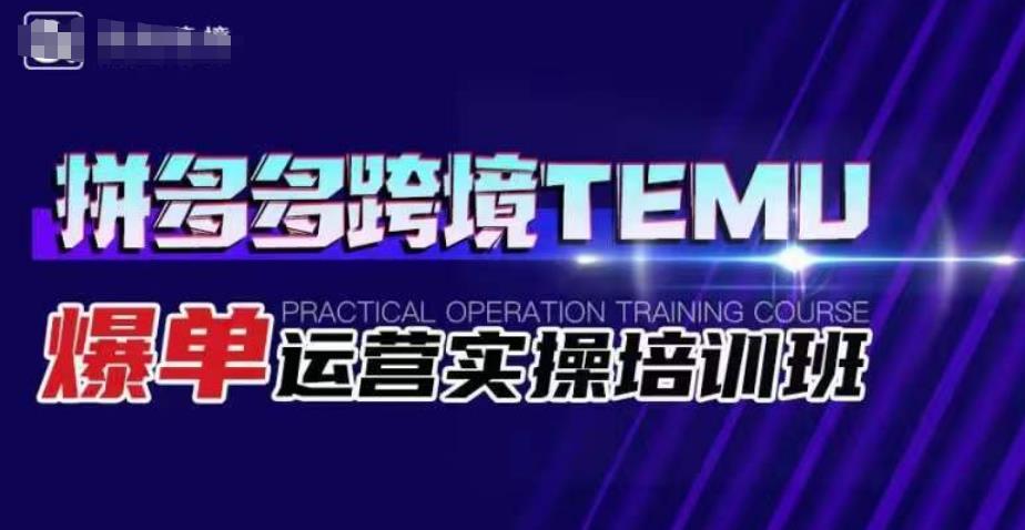 拼多多跨境TEMU爆单运营实操培训班，海外拼多多的选品、运营、爆单天亦网独家提供-天亦资源网