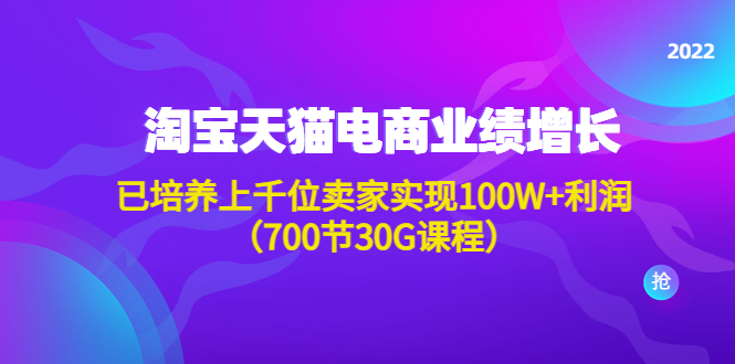 （4409期）淘系天猫电商业绩增长：已培养上千位卖家实现100W+利润（700节30G课程）天亦网独家提供-天亦资源网