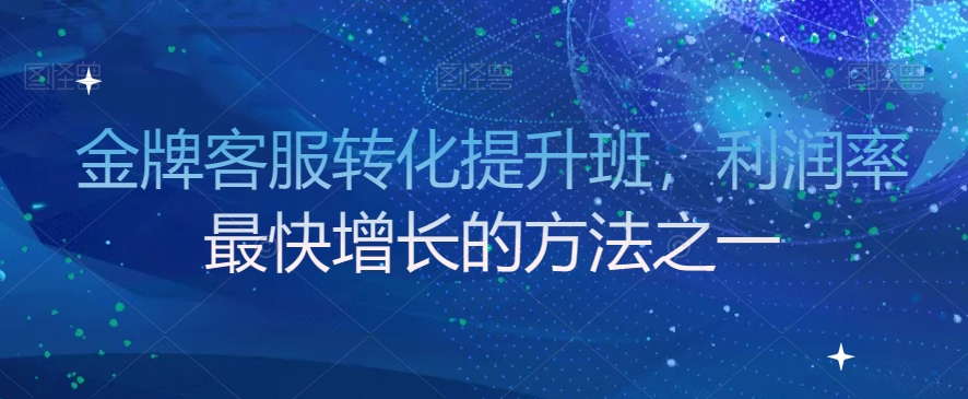 金牌客服转化提升班，利润率最快增长的方法之一天亦网独家提供-天亦资源网