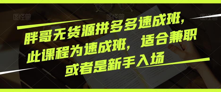 胖哥无货源拼多多速成班，此课程为速成班，适合兼职或者是新手入场天亦网独家提供-天亦资源网