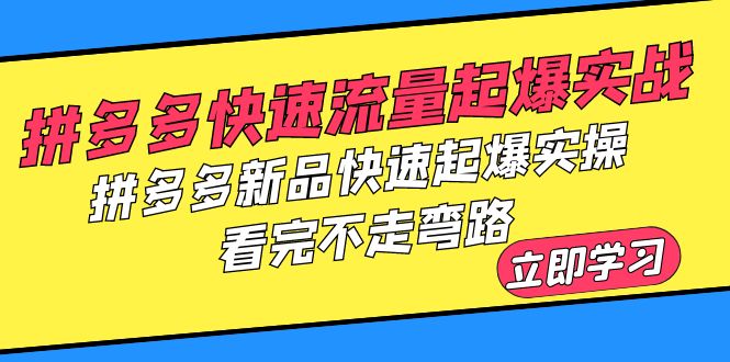 （6253期）拼多多-快速流量起爆实战，拼多多新品快速起爆实操，看完不走弯路天亦网独家提供-天亦资源网