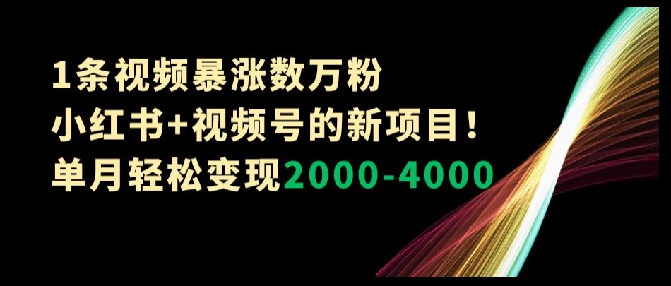 1条视频暴涨数万粉–小红书+视频号的新项目！单月轻松变现2000-4000【揭秘】天亦网独家提供-天亦资源网