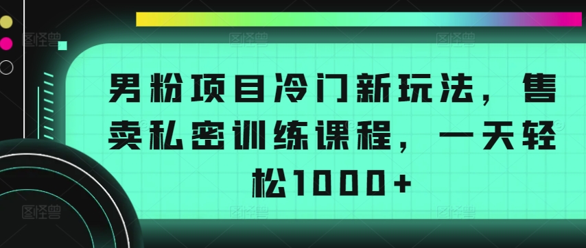 男粉项目冷门新玩法，售卖私密训练课程，一天轻松1000+天亦网独家提供-天亦资源网