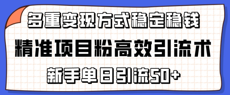 精准项目粉高效引流术，新手单日引流50+，多重变现方式稳定赚钱天亦网独家提供-天亦资源网