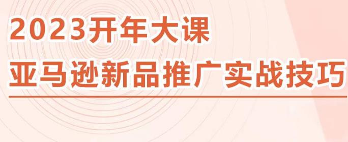 2023亚马逊新品推广实战技巧，线下百万美金课程的精简版，简单粗暴可复制，实操性强的推广手段天亦网独家提供-天亦资源网