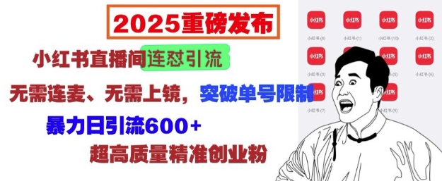 2025重磅发布：小红书直播间连怼引流，无需连麦、无需上镜，突破单号限制，暴力日引流600+天亦网独家提供-天亦资源网