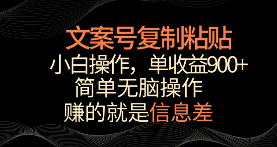 文案号掘金，简单复制粘贴，小白操作，单作品收益900+天亦网独家提供-天亦资源网