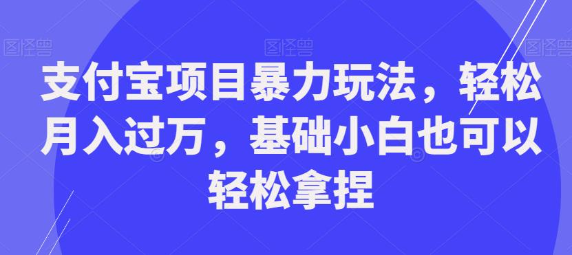 支付宝项目暴力玩法，轻松月入过万，基础小白也可以轻松拿捏【揭秘】天亦网独家提供-天亦资源网