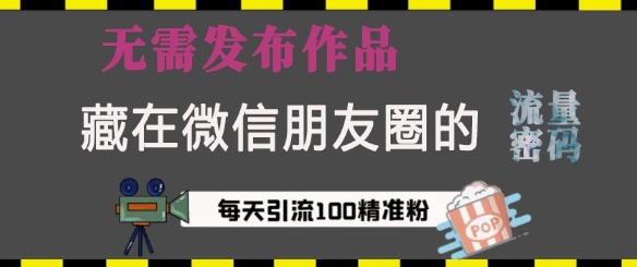 藏在微信朋友圈的流量密码，无需发布作品，单日引流100+精准创业粉天亦网独家提供-天亦资源网