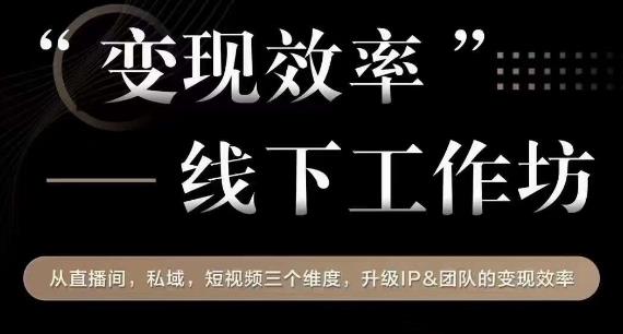 变现效率线下工作坊，从‮播直‬间、私域、‮视短‬频‮个三‬维度，升级IP和团队变现效率天亦网独家提供-天亦资源网