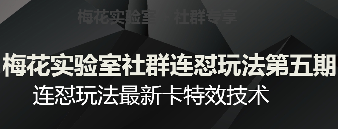 梅花实验室社群连怼玩法第五期，视频号连怼玩法最新卡特效技术天亦网独家提供-天亦资源网