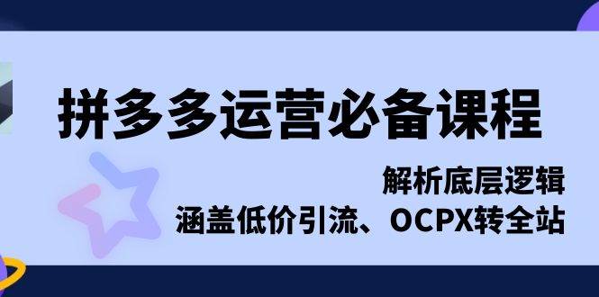 拼多多运营必备课程，解析底层逻辑，涵盖低价引流、OCPX转全站天亦网独家提供-天亦资源网