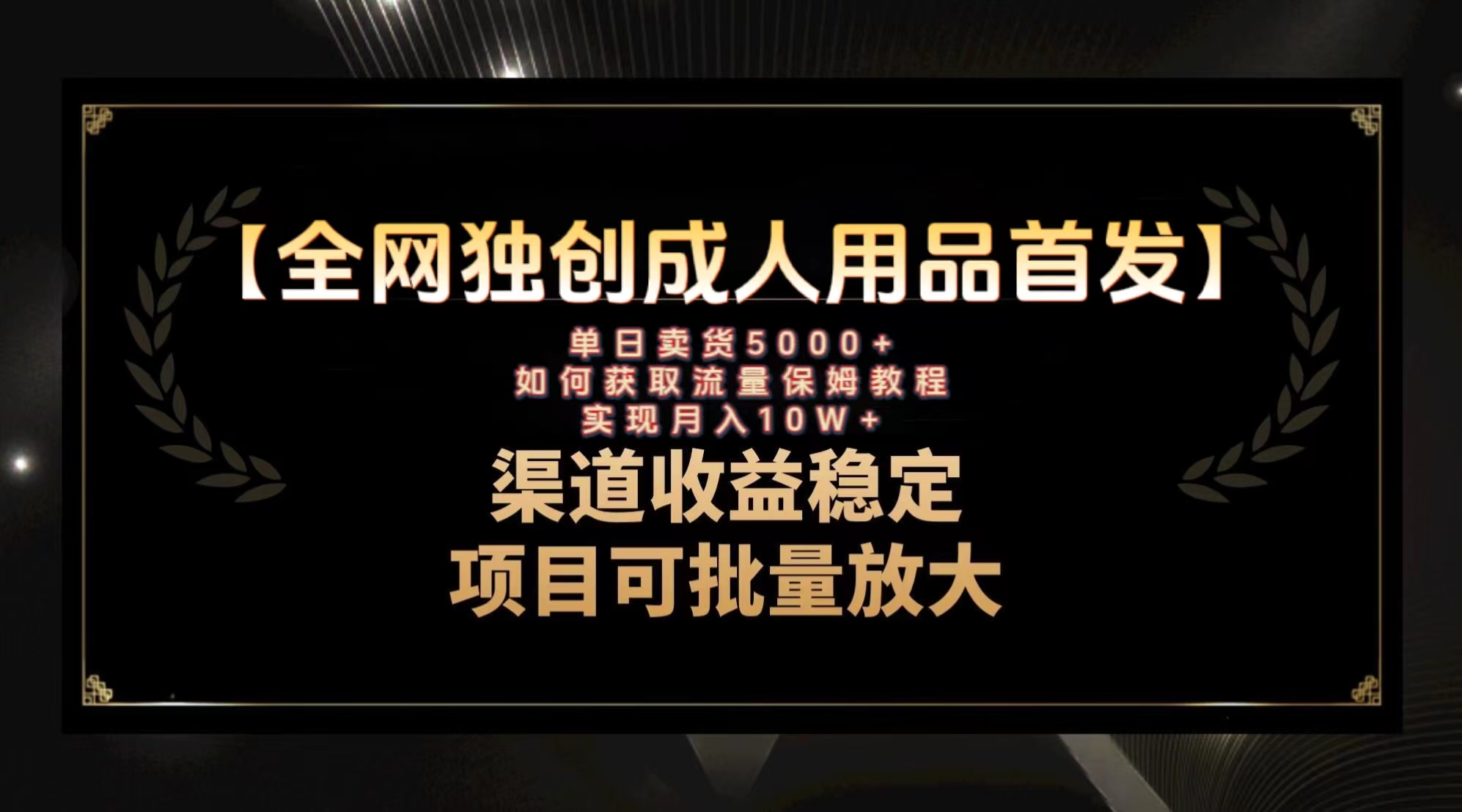 （8128期）最新全网独创首发，成人用品赛道引流获客，月入10w保姆级教程天亦网独家提供-天亦资源网