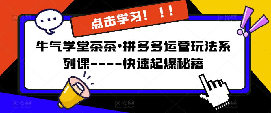 牛气学堂茶茶•拼多多运营玩法系列课—-快速起爆秘籍【更新】天亦网独家提供-天亦资源网