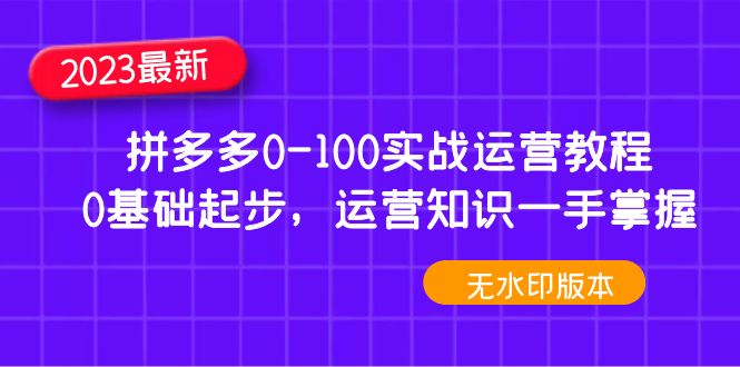 （4835期）2023拼多多0-100实战运营教程，0基础起步，运营知识一手掌握（无水印）天亦网独家提供-天亦资源网