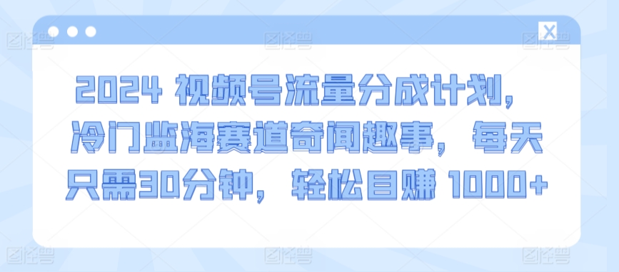 2024视频号流量分成计划，冷门监海赛道奇闻趣事，每天只需30分钟，轻松目赚 1000+天亦网独家提供-天亦资源网