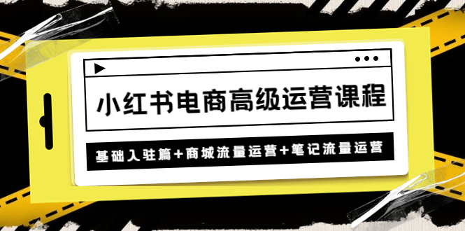 （4638期）小红书电商高级运营课程：基础入驻篇+商城流量运营+笔记流量运营天亦网独家提供-天亦资源网