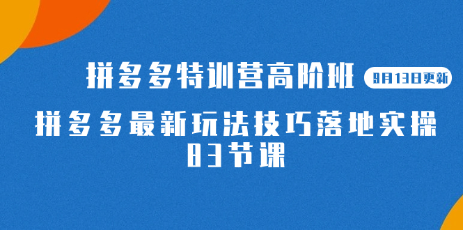 （7295期）2023拼多多·特训营高阶班【9月13日更新】拼多多最新玩法技巧落地实操-83节天亦网独家提供-天亦资源网