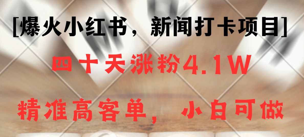 新闻打卡项目，小红书40天涨粉4.1w，高客单精准粉，变现能力超强天亦网独家提供-天亦资源网