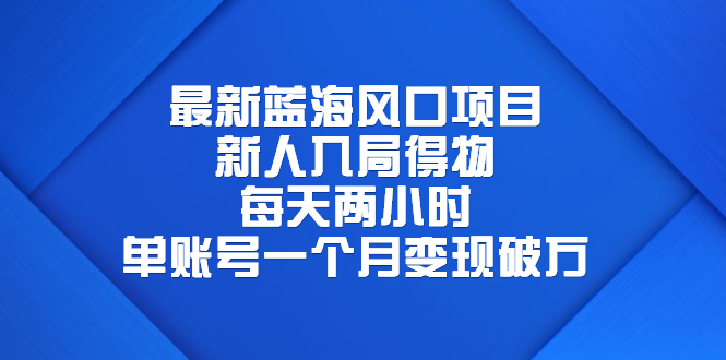 （6514期）最新蓝海风口项目，新人入局得物，每天两小时，单账号一个月变现破万天亦网独家提供-天亦资源网