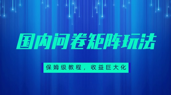 保姆级教程，国内问卷矩阵玩法，轻松赚收益天亦网独家提供-天亦资源网