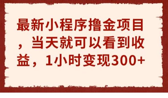 最新小程序撸金项目，当天就可以看到收益，1小时变现300+【揭秘】天亦网独家提供-天亦资源网