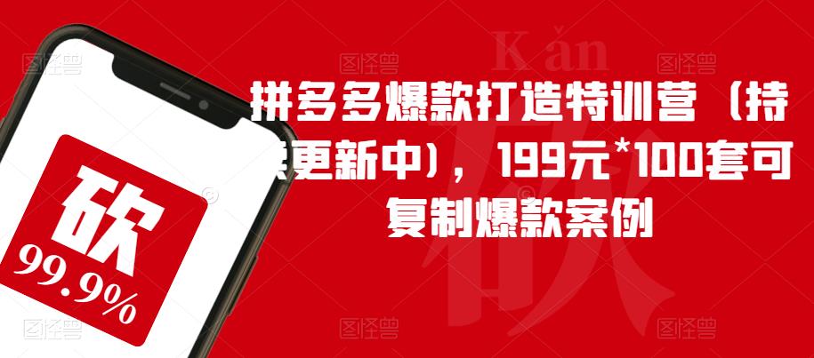 拼多多爆款打造特训营（持续更新中)，199元*100套可复制爆款案例天亦网独家提供-天亦资源网