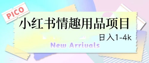 （6555期）最新小红书情趣用品项目，日入1-4k天亦网独家提供-天亦资源网